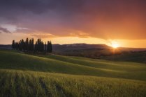 Countryside, San Quirico d'Orcia, Val d'Orcia, Tuscany, Italy, Europe — Stock Photo
