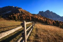 L'ultima luce a malga Gampen, sullo sfondo il gruppo Odle, valle Funes, Trentino-Alto Adige, Italia, Europa — Foto stock