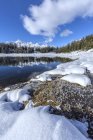 Bosques y picos nevados se reflejan en las aguas cristalinas de Pal Lake, Malenco Valley, Valtellina, Lombardía, Italia, Europa - foto de stock