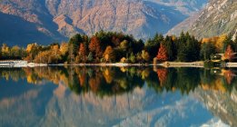 The autumn colors are reflected in the calm waters of Lake Mezzola, Novate Mezzola, Valchiavenna, Vallespluga, Lombardy, Italy, Europe — Stock Photo
