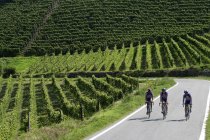 Ciclista en la carretera, Valle de Belbo, Langhe, Piamonte, Italia - foto de stock