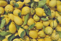 Типичный желтый цвет лемона характеризует все терракотовые сады городов побережья Амальфи, Кампании, Италии, Европы. — стоковое фото