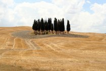 Countryside, Siena, Tuscany, Italy — стокове фото