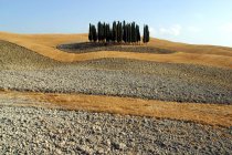 Landschaft, Siena, Toskana, Italien — Stockfoto