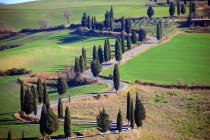 Montichiello, cipreses bordean un sinuoso camino rural fuera del pueblo de Montichiello en Val d 'Orcia, Toscana, Italia, Europa - foto de stock