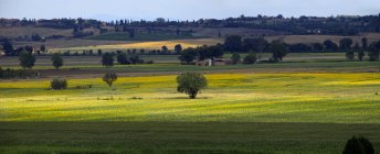 Siena Landschaft, Toskana, Italien, Europa — Stockfoto