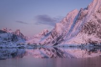 Reine, Lofoten Island, Norvège, Europe — Photo de stock