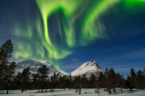 As Luzes do Norte Aluminam sobre os picos da montanha na paisagem das Ilhas Lofoten Corner Kick, Ártico, Noruega, Escandinávia, Europa — Fotografia de Stock