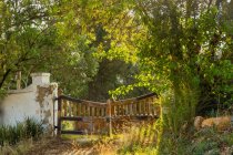 Countryside, old gate at abandoned property, Lanseria, Johannesburg, Province of Gauteng, Republic of South Africa — стокове фото