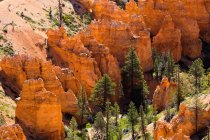 Parque Nacional Bryce Canyon. A principal característica do parque é Bryce Canyon, que apesar de seu nome, não é um cânion, mas uma coleção de anfiteatros naturais gigantes ao longo do lado leste do Planalto Paunsaugunt, Utah, EUA. — Fotografia de Stock