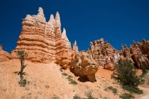 USA, Utah, Bryce Canyon National Park. La característica principal del parque es Bryce Canyon, que a pesar de su nombre, no es un cañón, sino una colección de anfiteatros naturales gigantes a lo largo del lado oriental de la meseta de Paunsaugunt. - foto de stock