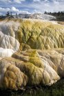 Mammoth Hot Springs, Yellowstone National Park, Wyoming, Stati Uniti d'America (USA), Nord America — Foto stock
