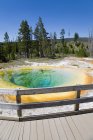 Morning Glory Pool, alte Gläubige, Yellowstone Nationalpark, Wyoming, Vereinigte Staaten von Amerika (USA), Nordamerika — Stockfoto