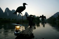 Pescador de corvos-marinhos chineses, Li River, Xingping, China, Ásia Oriental — Fotografia de Stock