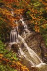 Vista de las cataratas de Morricana en el bosque de Bosco della Morricana rodeado por un tema de otoño en Ceppo, Abruzos, Italia, Europa - foto de stock