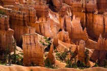 Bryce Canyon National Park. The major feature of the park is Bryce Canyon, which despite its name, is not a canyon, but a collection of giant natural amphitheaters along the eastern side of the Paunsaugunt Plateau, Utah, USA — Stock Photo