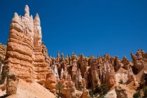 USA, Utah, Bryce Canyon National Park. The major feature of the park is Bryce Canyon, which despite its name, is not a canyon, but a collection of giant natural amphitheaters along the eastern side of the Paunsaugunt Plateau — Stock Photo