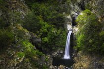 Cachoeira de Maesano, Parque Nacional Aspromonte, Gambarie, Calábria, Itália — Fotografia de Stock