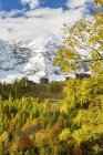 Granges dans le Val di Zoldo avec pic Civetta en arrière-plan, Vénétie, Italie, Europe — Photo de stock