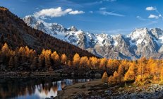 Otoño, Lago Arpy, Morgex, Cadena Mont Blanc, Grand Jorasses, Valle de Aosta, Italia, Europa - foto de stock