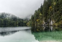 Reflexões de outono no lago Tovel, Ville d 'Anaunia, Val di Non, Adamello-Brenta Natural Parck, Trentino-Alto Adige, Itália — Fotografia de Stock