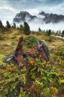 Епічна прекрасний вид на гори Пассо-Фалзарего, Доломітові Альпи, Італія — стокове фото