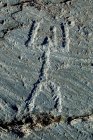 Petroglifos en la Reserva Natural de Grosio, Valtellina, Lombardía, Italia, Europa — Stock Photo