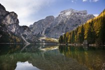 Le Pragser Wildsee (lac Prags, lac des Braies) est l'une des principales attractions toruistes du Tyrol du Sud. À la fin de l'automne, les mélèzes jaunes se reflètent dans les eaux sombres du lac.Prags, Nature Park Fanes Sennes Prags, Tyrol du Sud, Haut-Adige , — Photo de stock