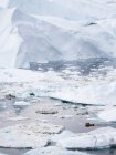 Bateau à Ilulissat Icefjord également appelé kangia ou Ilulissat Kangerlua à Disko Bay. L'icefjord est inscrit au patrimoine mondial de l'UNESCO. Amérique, Amérique du Nord, Groenland, Danemark — Photo de stock