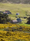 Carcass Island, una piccola isola nelle Falkland occidentali. Sud America, Isole Falkland, novembre — Foto stock