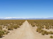 Die piste rn 38. landschaft nahe den salinen salar salinas grandes im altiplano. Südamerika, Argentinien — Stockfoto