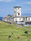 Farol da ribeirinha, ein Leuchtturm, der durch ein Erdbeben zerstört wurde. faial island, eine Insel in den Azoren (ilhas dos acores) im Atlantik. die Azoren sind eine autonome Region von Portugal. — Stockfoto