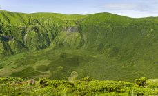A Caldeira do Faial em Cabeco Gordo. Ilha do Faial, uma ilha dos Açores (Ilhas dos Acores) no oceano Atlântico. Os Açores são uma região autónoma de Portugal . — Fotografia de Stock