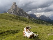 Dolomites at Passo Giau. Ra Gusela and Tofane. The Dolomites are part of the UNESCO world heritage. Europe, Central Europe, Italy — Stock Photo