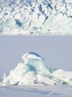 Glaciar Fjallsjoekull y lago glacial congelado Fjallsarlon en Vatnajokull NP durante el invierno. Europa, norte de Europa, Islandia, febrero - foto de stock