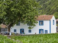 Faja dos Vimes. Île de Sao Jorge, une île des Açores (Ilhas dos Acores) dans l'océan Atlantique. Les Açores sont une région autonome du Portugal. Europe, Portugal, Açores — Photo de stock
