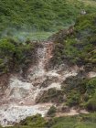 Furnas do Enxofre, une zone géothermique avec de la vapeur de soufre. Île Ilhas Terceira, une partie des Açores (Ilhas dos Acores) dans l'océan Atlantique, une région autonome du Portugal. Europe, Açores, Portugal . — Photo de stock