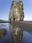 Морской стек Hvitserkur, ориентир полуострова. Пейзаж на полуострове Vatnsnes в северной Исландии. Европа, Северная Европа, Исландия — стоковое фото