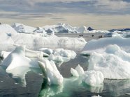 Eisberge im Uummannaq-Fjordsystem, Fischerboot zwischen Eisbergen. Amerika, Nordamerika, Grönland, Dänemark — Stockfoto