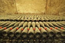 Cantina Bosca cattedrale dei vini a Canelli, un letto di bottiglie d'epoca, Asti, Piemonte, Italia — Foto stock