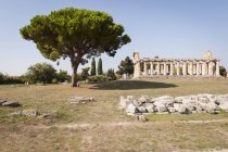 Temple of Athena, Paestum archeological area, UNESCO, World Heritage Site, province of Salerno, Campania, Italy, Europe — Stock Photo