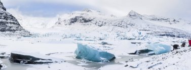 Glacier Svinafellsjoekull à Vatnajoekull NP en hiver en Islande. Front des glaciers et lac glaciaire gelé. Europe, Europe du Nord, Scandinavie, Islande, février — Photo de stock