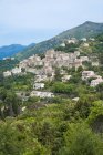 Oletta village, Corsica, France, Europe — Stock Photo