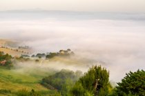 Vista de Potenza Picena, Nevoeiro, Marche, Itália, Europa — Fotografia de Stock