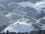 Bosco innevato a San Valentino, Lago Pra da Stua, Altopiano di Brentonico, Monte Baldo, Trentino, Italia, Europa — Foto stock