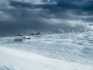 Paesaggio innevato a Bes alm sull'altopiano di Brentonico, Monte Baldo, Trentino, Italia, Europa — Foto stock