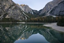 The Pragser Wildsee (Lake Prags, Lago die Braies) is one of the main toruist attractions in South Tyrol. In late fall the yellow larch trees are reflecting in the dark water of the lake.Prags, Nature Park Fanes Sennes Prags, South Tyrol, Alto Adige, — Stock Photo
