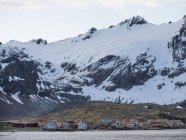 Ruinen des Leith Harbour, der größten Walfangstation in Südgeorgien Antarktis, Subantarktis, Südgeorgien, Oktober — Stockfoto