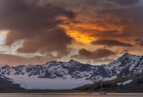 St. Andres Bay na Geórgia do Sul durante o pôr do sol. Antártica, Subantártica, Geórgia do Sul, outubro — Fotografia de Stock