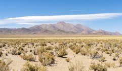 Landscape near the salt flats  Salinas Grandes in the  Altiplano. South America, Argentina — Stock Photo